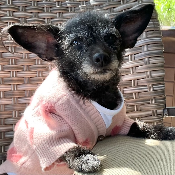 Pet Sweater Pink Cardigan with Fuzzy Hearts Medium - Picture 2 of 8